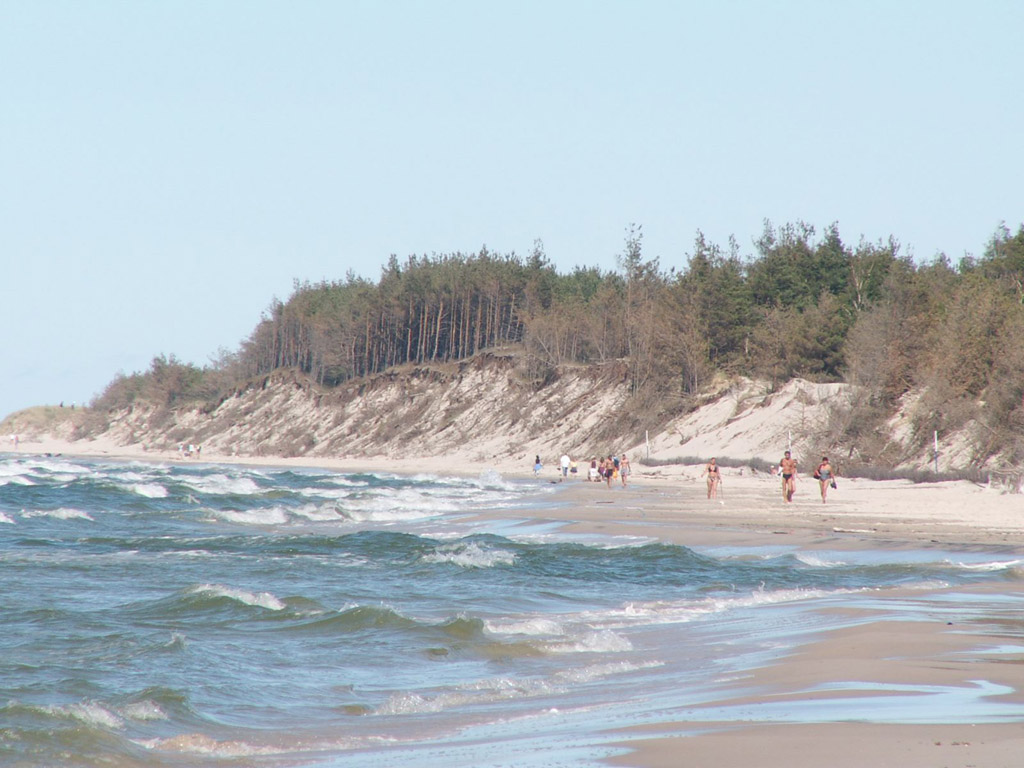 Beach near Rowy